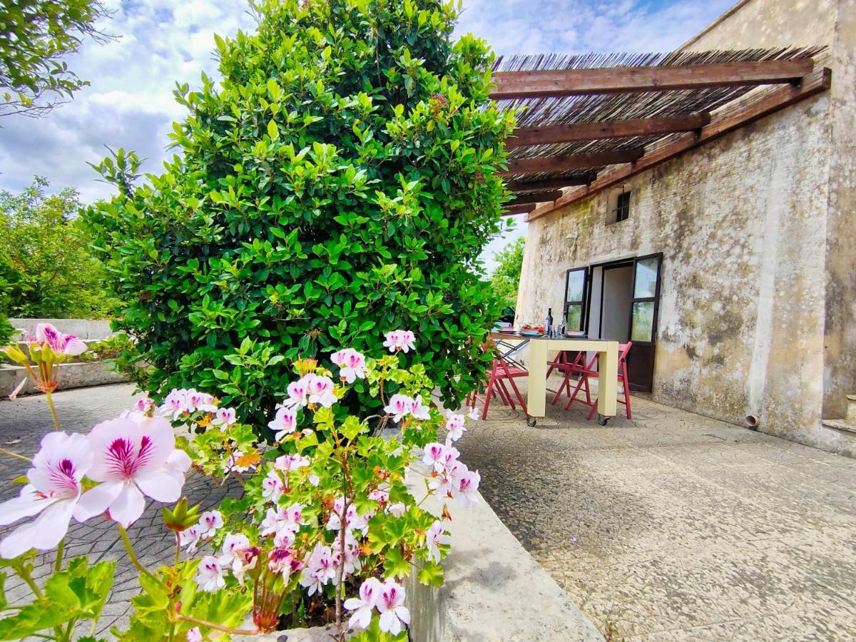 La Rudda Di Casa Camilla Journey Appartement Specchia Buitenkant foto